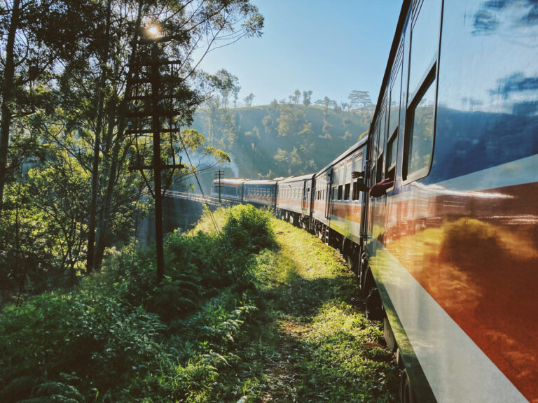A train riding though the forest, with sunlight shining trough the branches. The photo is taken from the train door as the train moves, and the camera looks toward the rear of the train.On the left we can see some lush vegetation, and there's a hill covered in trees in the background.